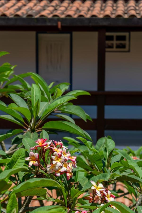 Villa Alexandre Pousada - 트란코주 외부 사진