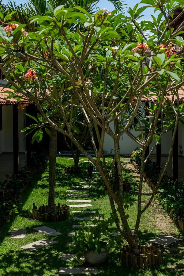 Villa Alexandre Pousada - 트란코주 외부 사진